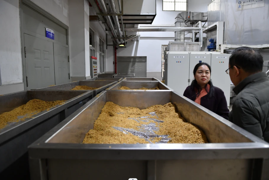 大學(xué)里的隱藏的全能釀酒工廠--訪湖北工業(yè)大學(xué)釀酒中試基地