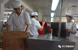 伊力特釀酒四廠首包新產品皮箱 伊力探尋者